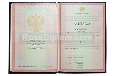 диплом ссуза 2004-2006